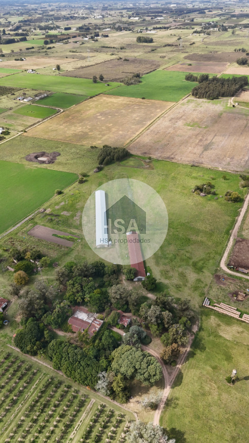 Chacra ID.565 - Chacra en Venta Progreso