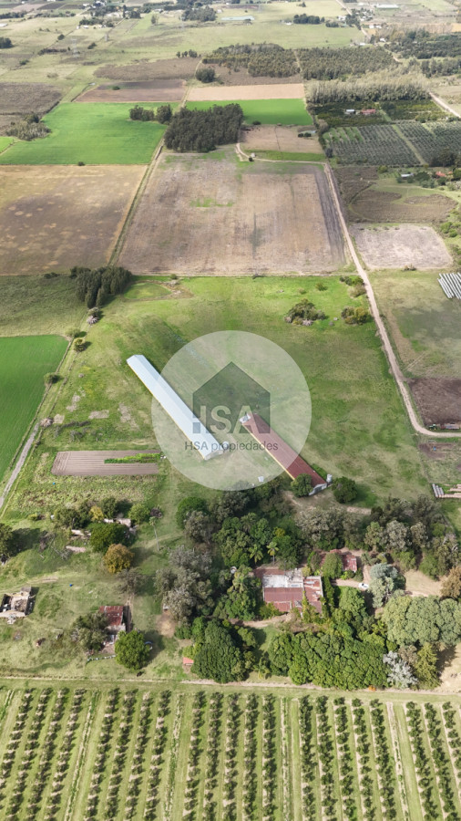 Chacra ID.565 - Chacra en Venta Progreso