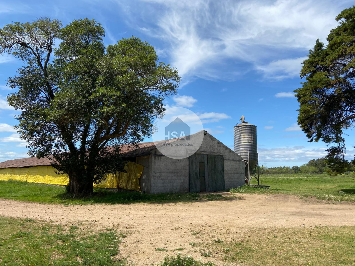 Chacra ID.565 - Chacra en Venta Progreso