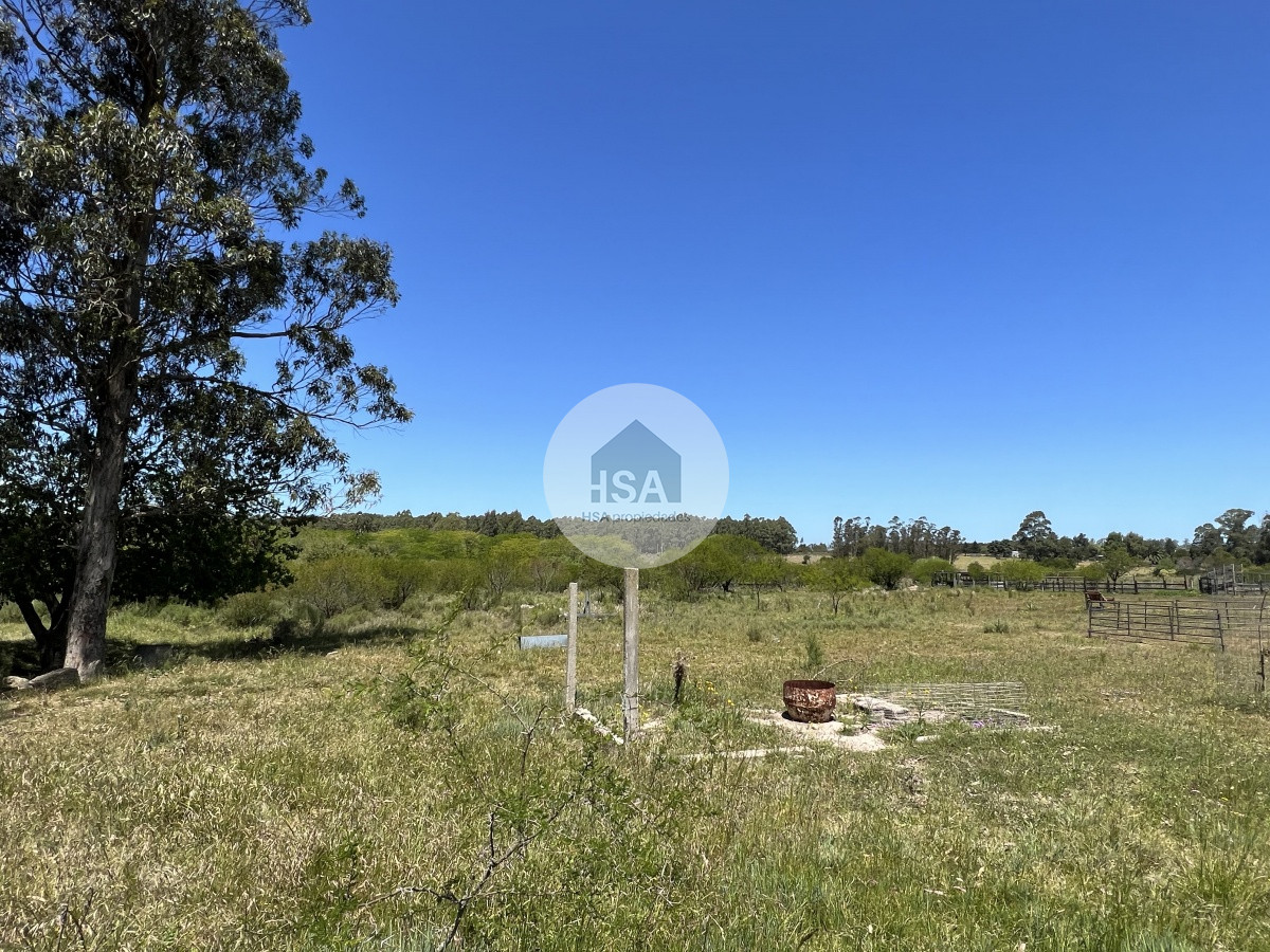 Chacra ID.189 - Chacra en venta Suárez