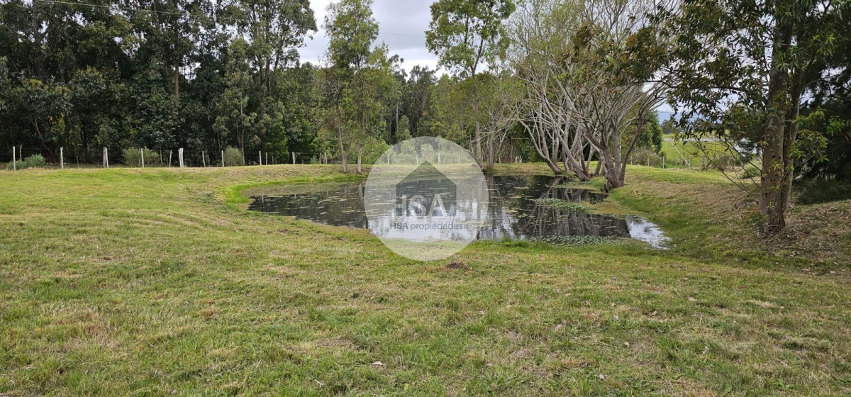 Chacra ID.593 - Alquiler chacra