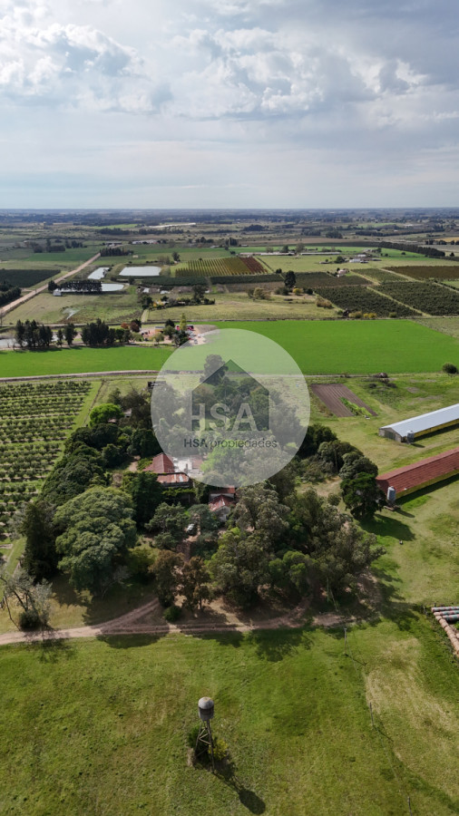 Chacra ID.565 - Chacra en Venta Progreso