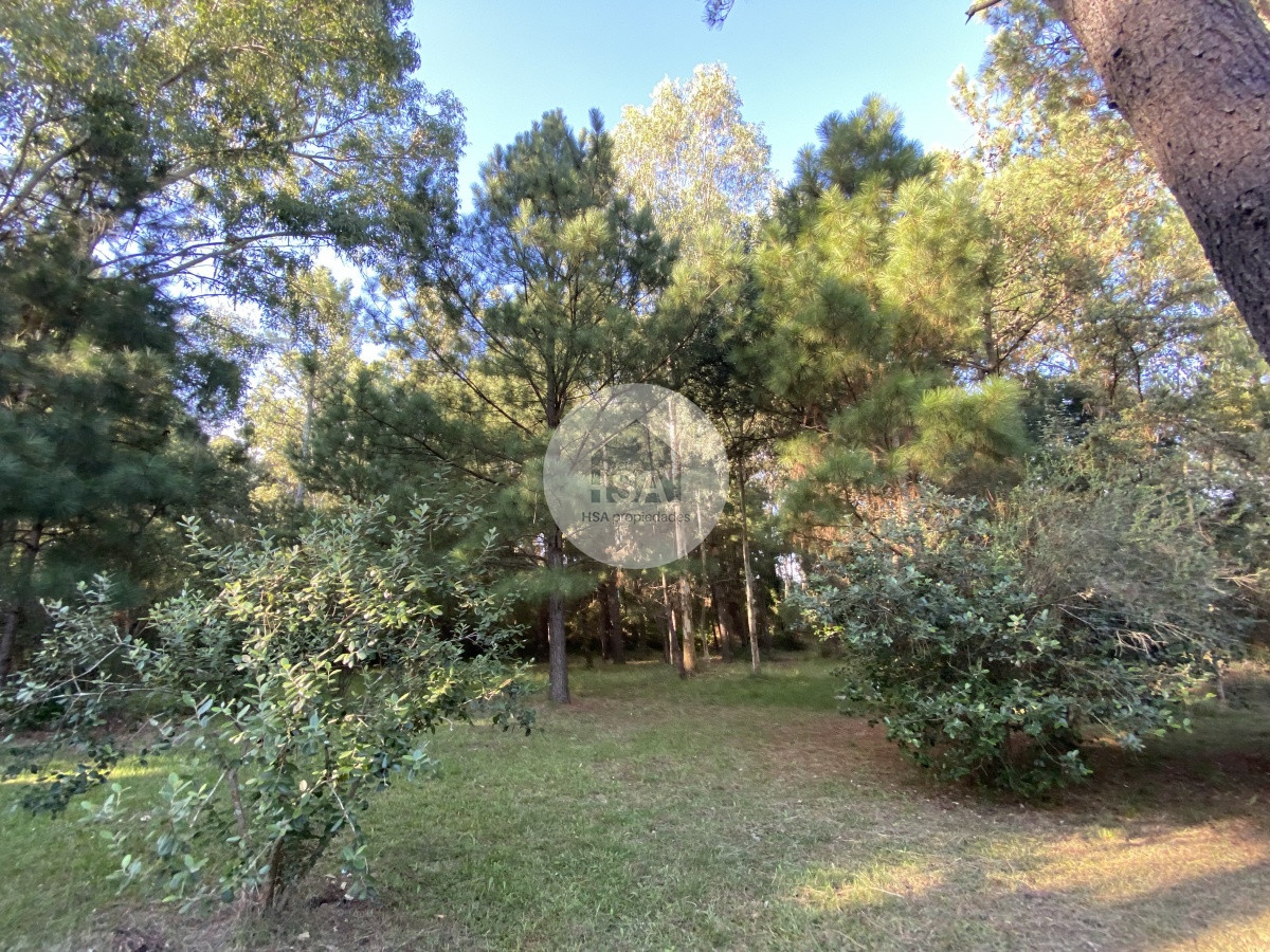 Chacra ID.168 - Chacra en venta Canelones
