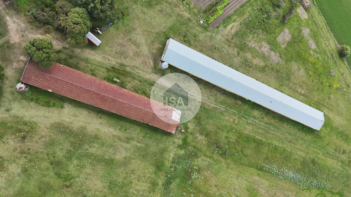 Chacra ID.565 - Chacra en Venta Progreso