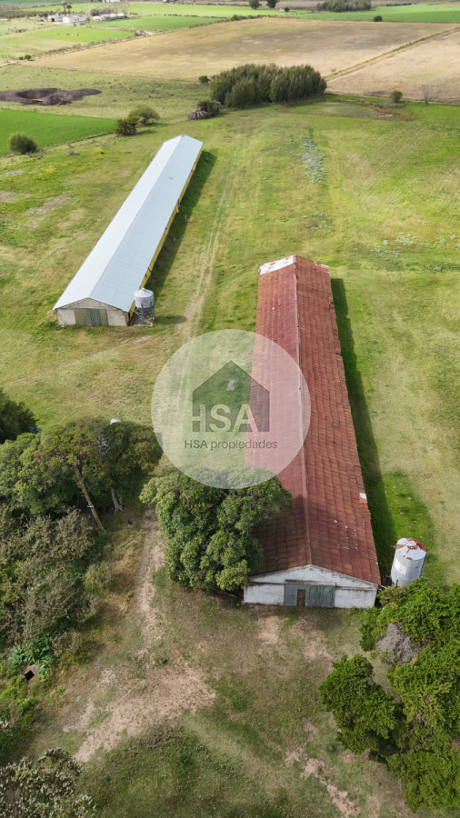 Chacra ID.565 - Chacra en Venta Progreso