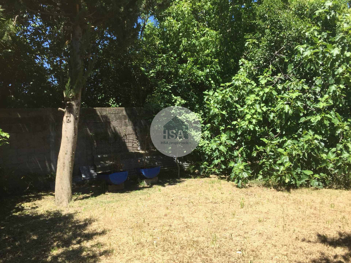 Local Comercial ID.141 - Galpón Con Vivienda En Venta