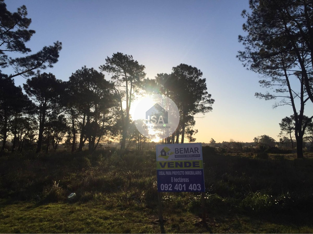 Terreno ID.133 - Terreno Colinas De Solymar Km 27 Ruta Interbalnearia Venta