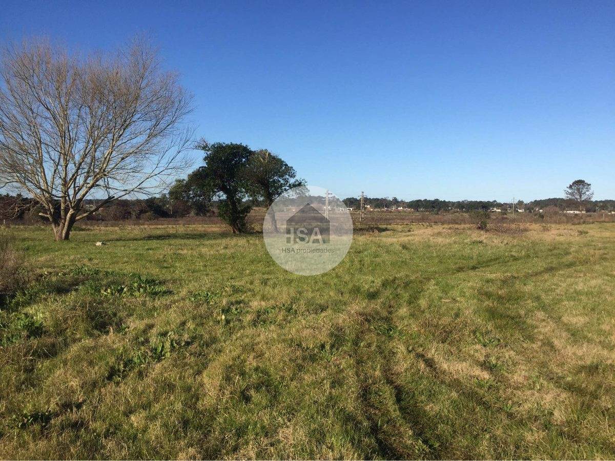 Terreno ID.133 - Terreno Colinas De Solymar Km 27 Ruta Interbalnearia Venta