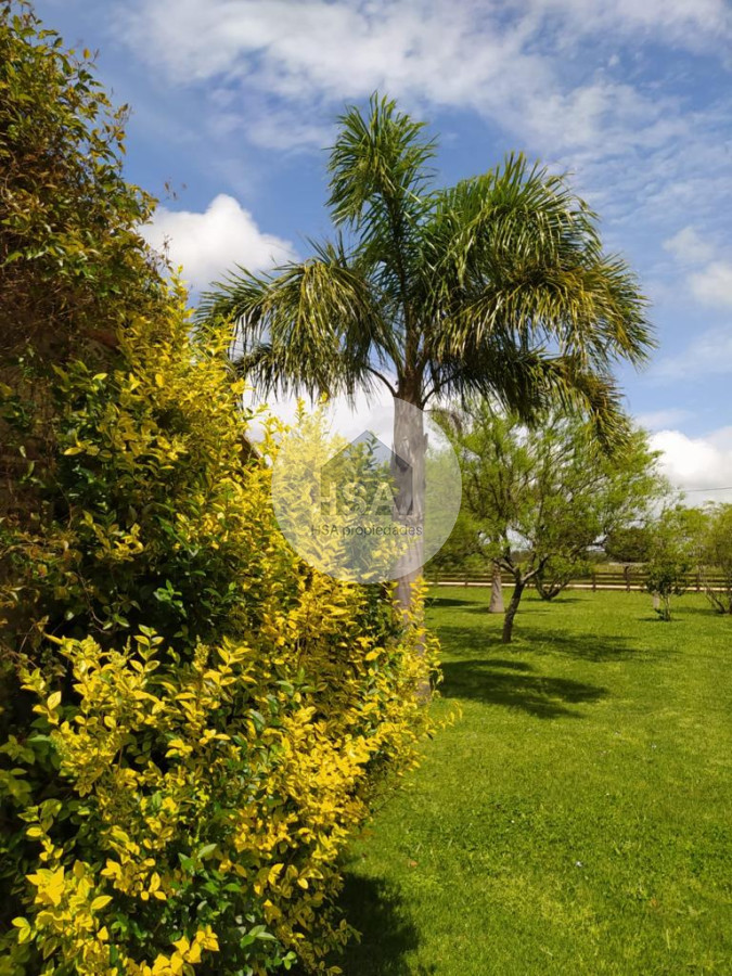 Terreno ID.250 - Terreno en venta Rocha 