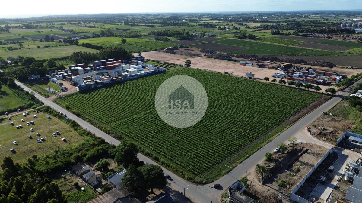 Terreno ID.717 - Terreno en Venta Polo Oeste