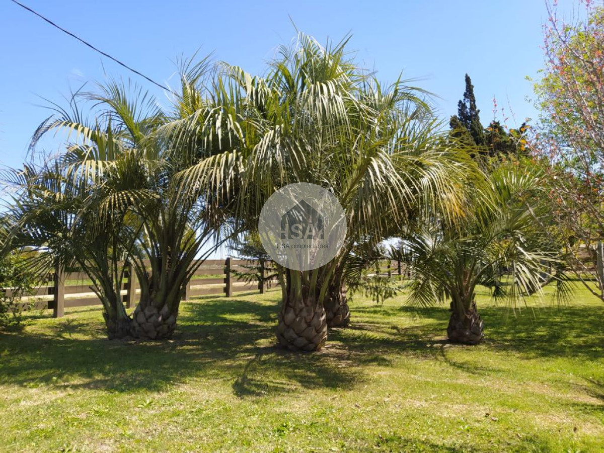 Terreno ID.250 - Terreno en venta Rocha 