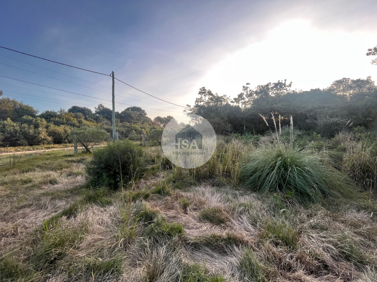 Terreno ID.273 - Terreno en venta Punta Colorada