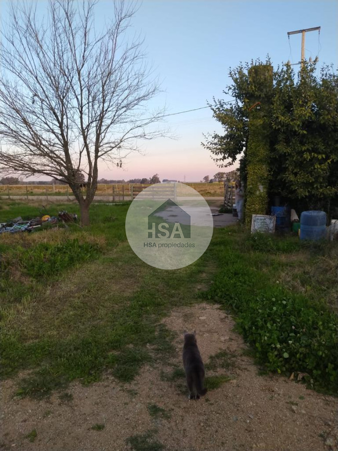 Terreno ID.250 - Terreno en venta Rocha 