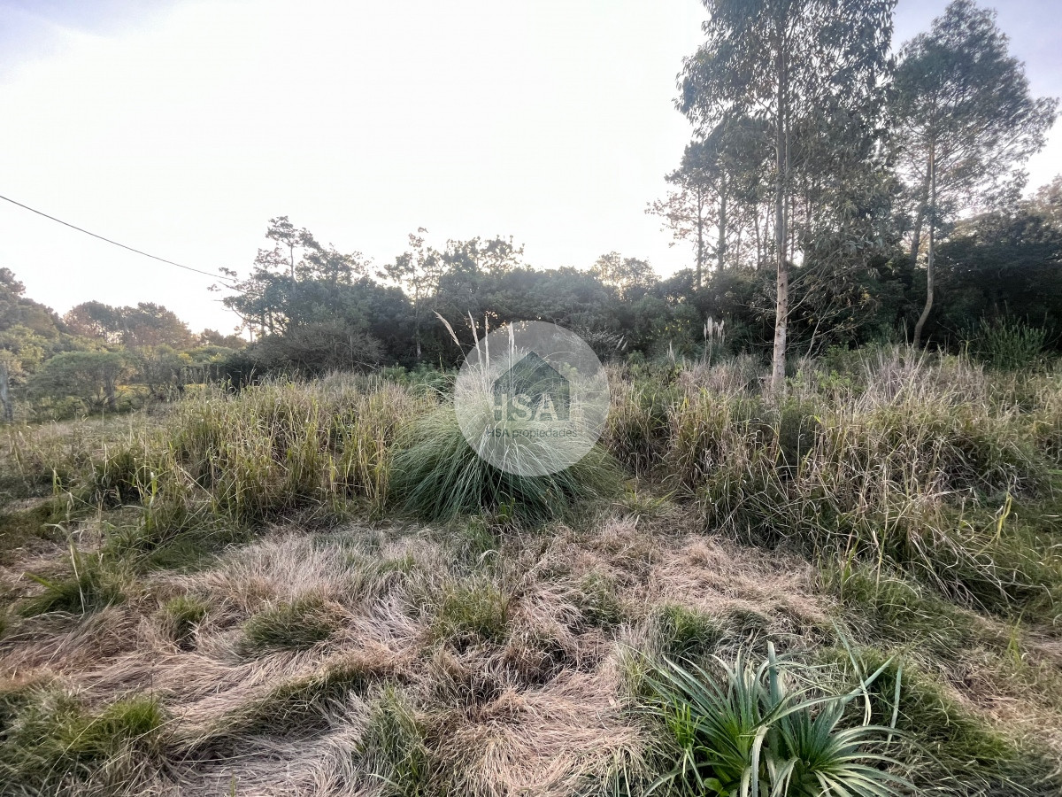 Terreno ID.273 - Terreno en venta Punta Colorada