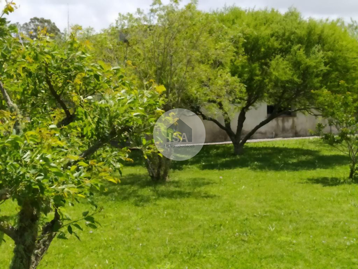 Terreno ID.250 - Terreno en venta Rocha 