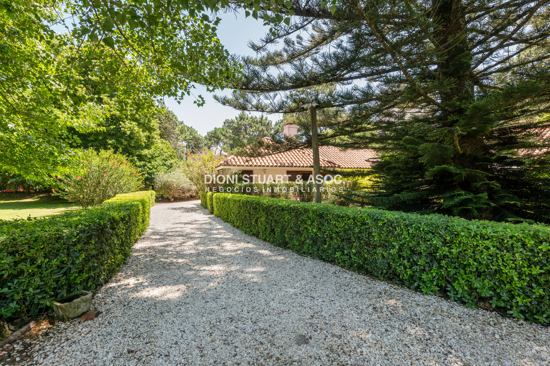 Casa ID.889 - CASA EN VENTA IMPONENTE EN EL GOLF - SAN RAFAEL - 6 DORMITORIOS