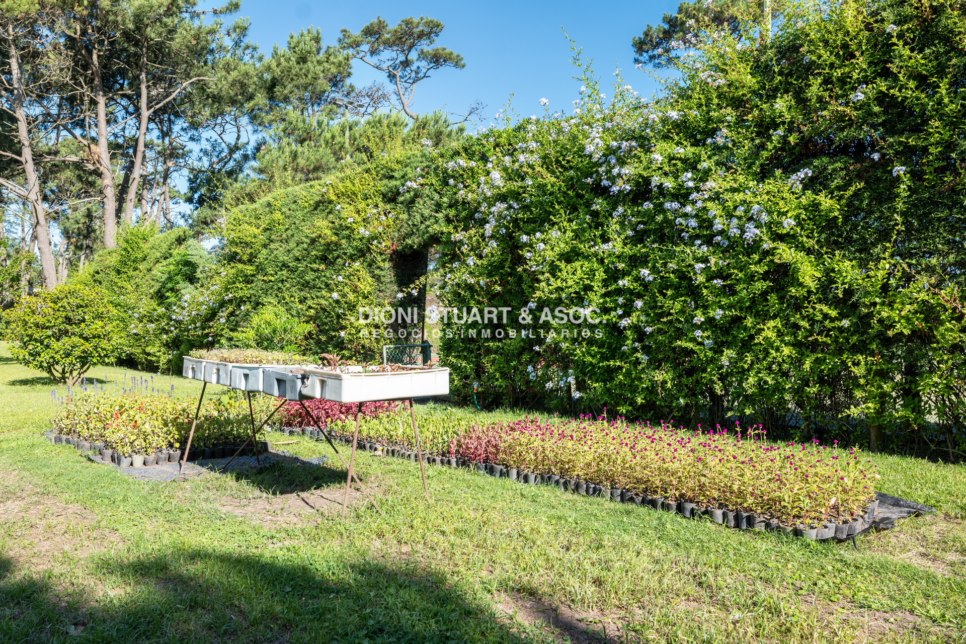 Casa ID.878 - CASA EN VENTA EN PINARES - SUPER TERRENO Y MEGA CONSTRUCCIÓN