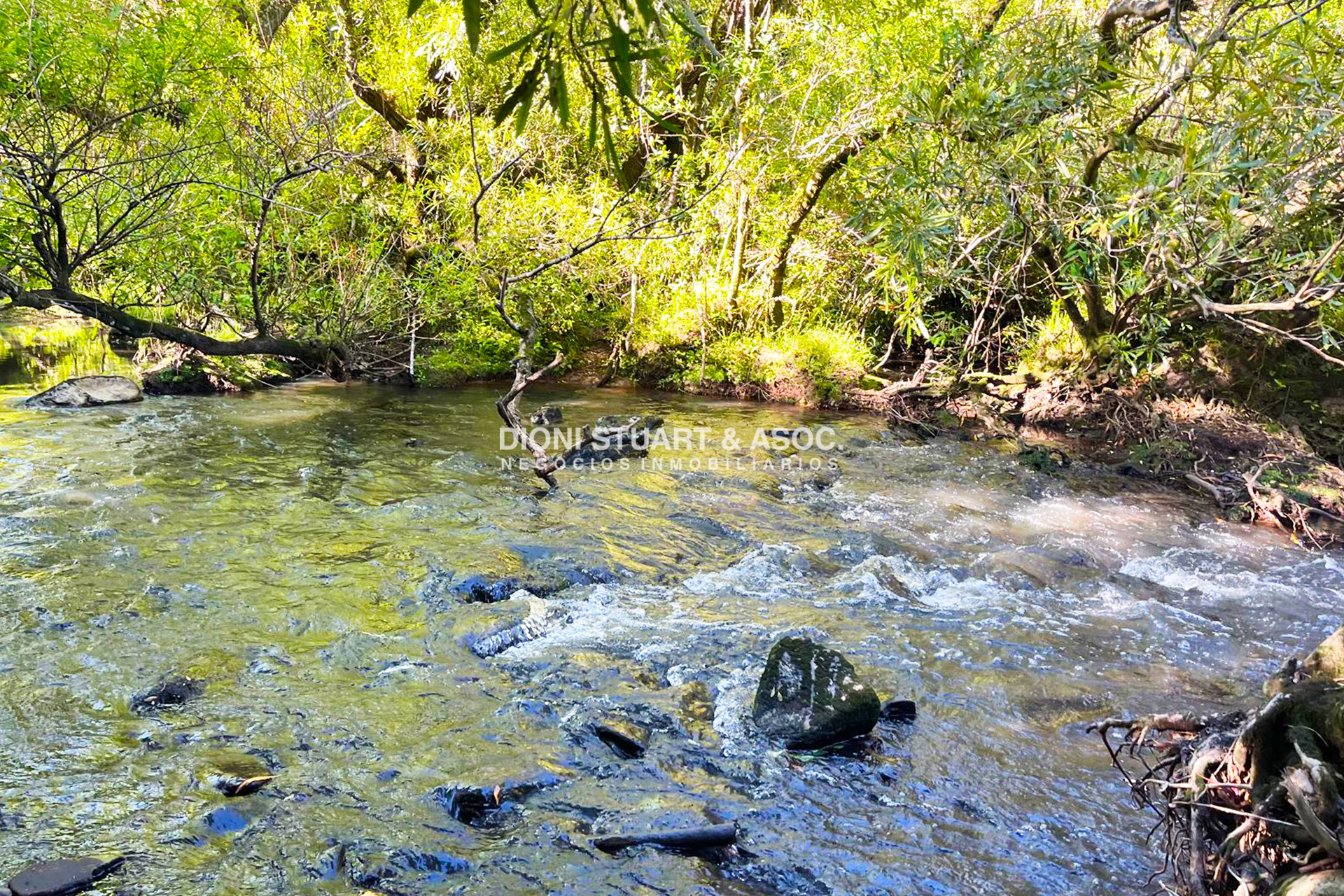 Chacra ID.833 - CHACRA DE 3 HECTAREAS EN SIERRA DE LOS CARACOLES CON ARROYO - CERCA DE MALDONADO