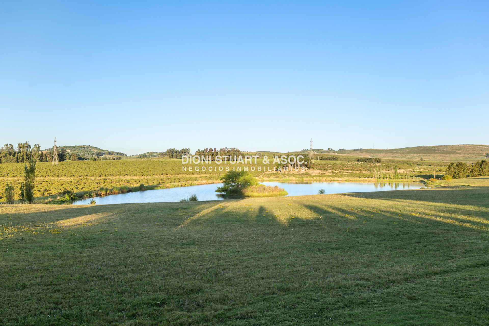 Chacra ID.891 - CHACRA EN RUTA 12 - LAGUNA DEL SAUCE - PUNTA DEL ESTE