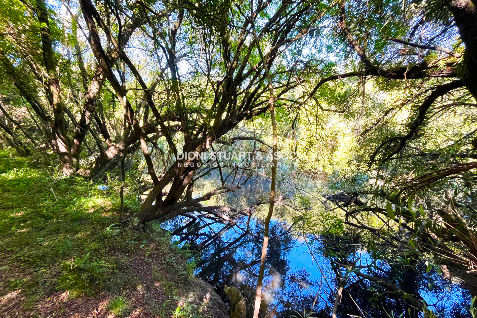 Chacra ID.833 - CHACRA DE 3 HECTAREAS EN SIERRA DE LOS CARACOLES CON ARROYO - CERCA DE MALDONADO