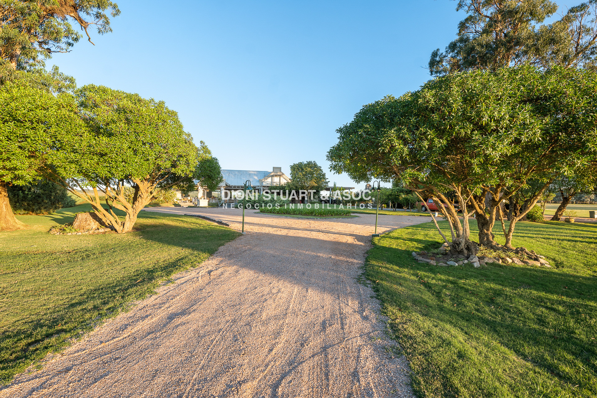 Chacra ID.891 - CHACRA EN RUTA 12 - LAGUNA DEL SAUCE - PUNTA DEL ESTE