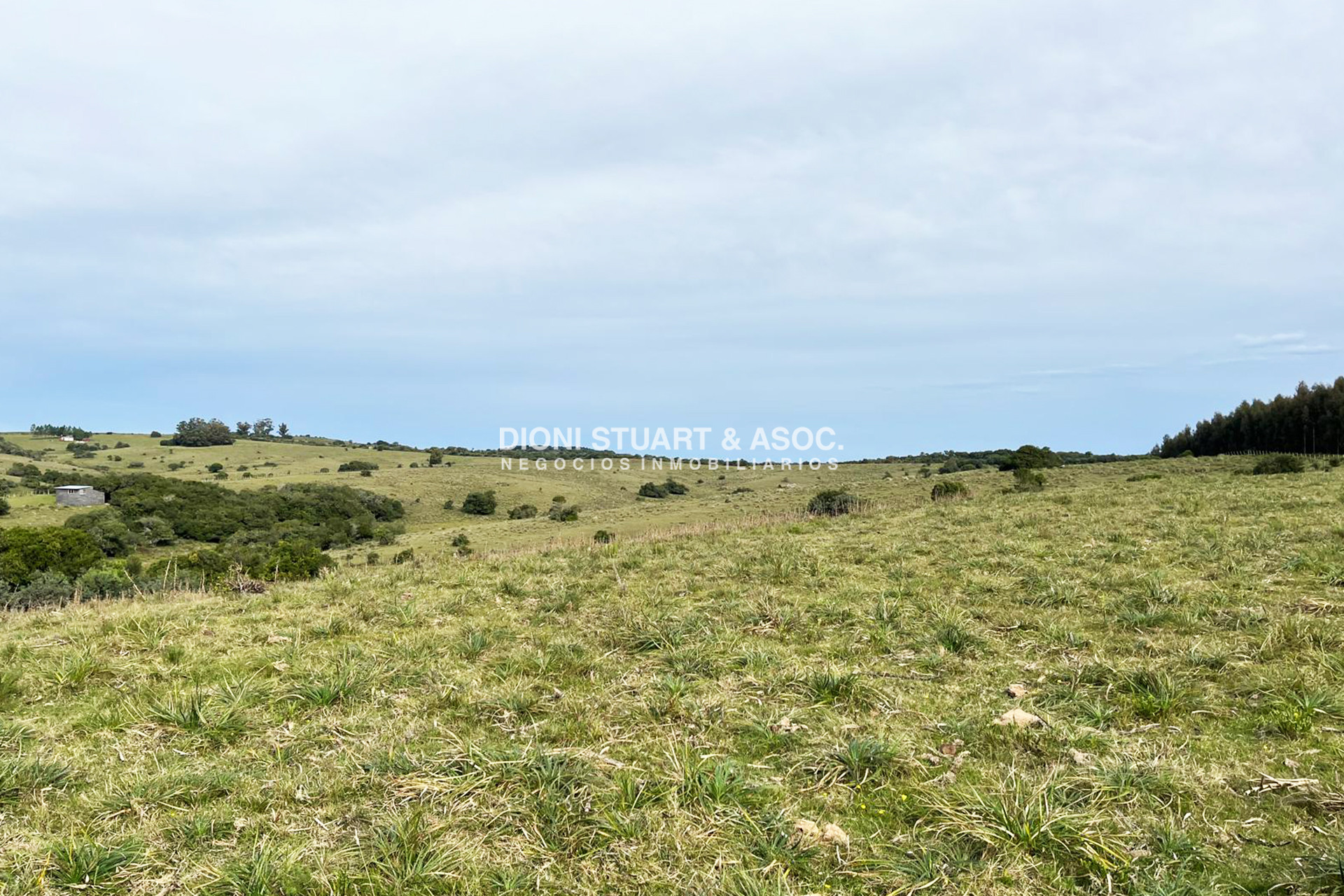 Campo Ref.997 - CAMPO EN SIERRAS DE CARAPE 25HAS