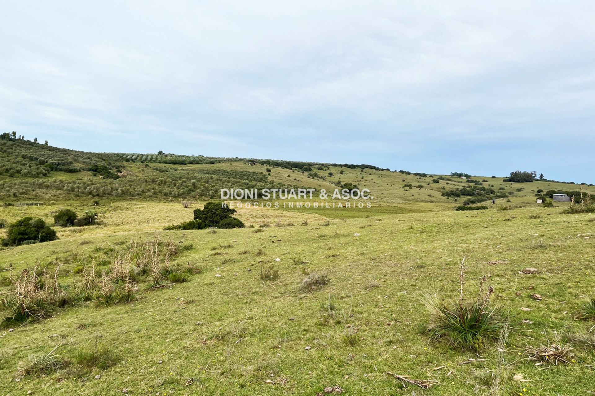 Campo Ref.997 - CAMPO EN SIERRAS DE CARAPE 25HAS