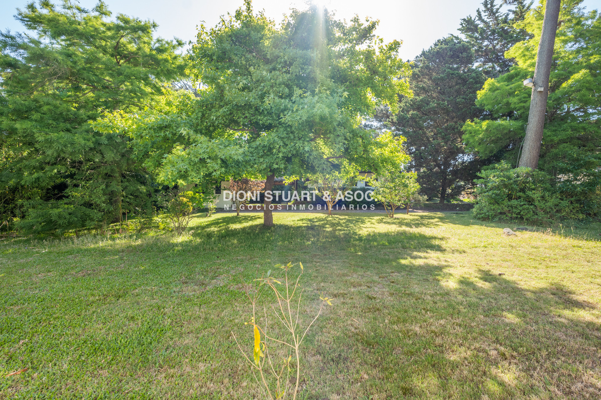 Terreno ID.875 - Terreno en San Rafael en Venta - A 3 Cuadras del Mar