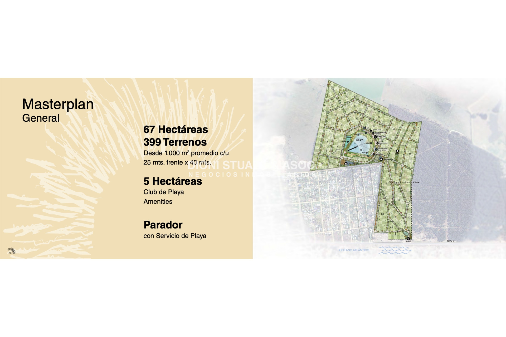 Terreno ID.1068 - LOTE EN VENTA EN EL NIDO - BEACH & SURF HOMES 