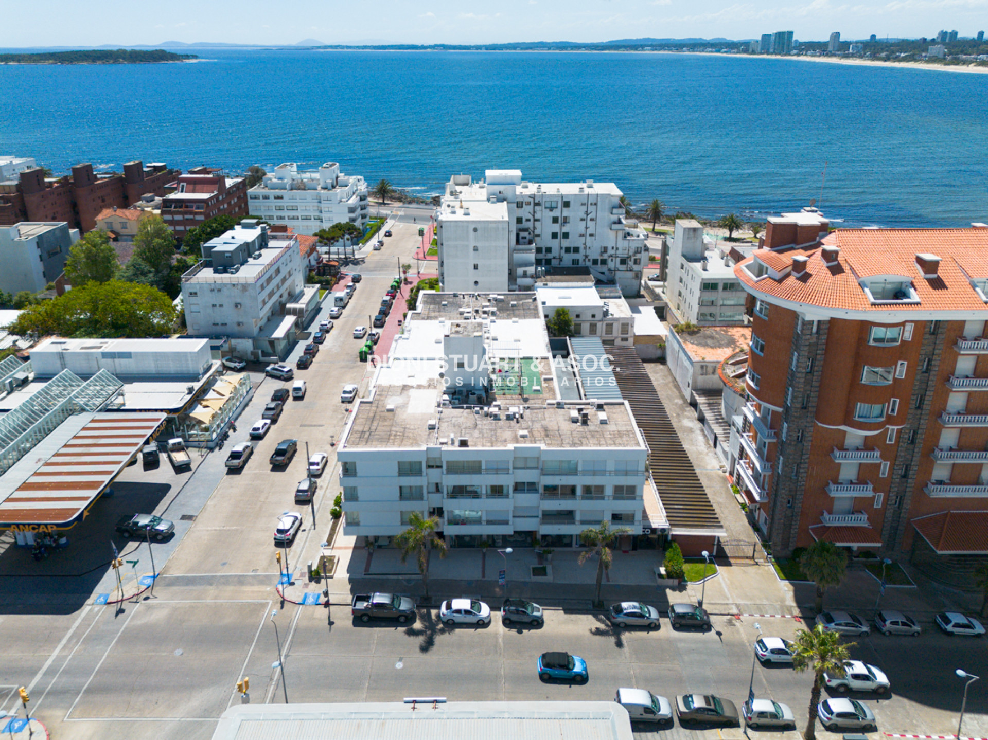 Apartamento ID.585 - Apartamento en Venta - Peninsula - Simon Bolivar - 3 Dormitorios - Reciclado
