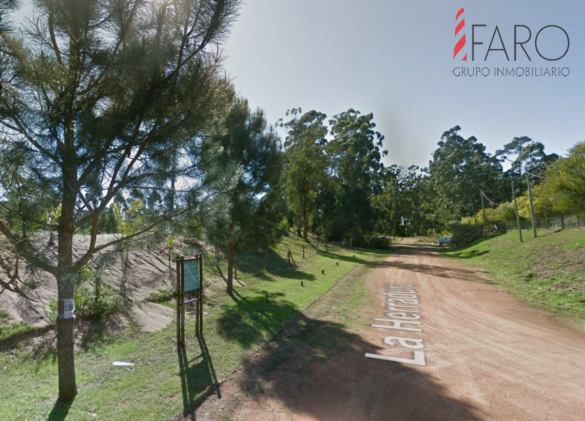 Burnett - GoPunta - Portal Inmobiliario de Punta del Este - Maldonado