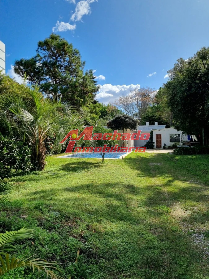 Aidy Grill - GoPunta - Portal Inmobiliario de Punta del Este - Maldonado