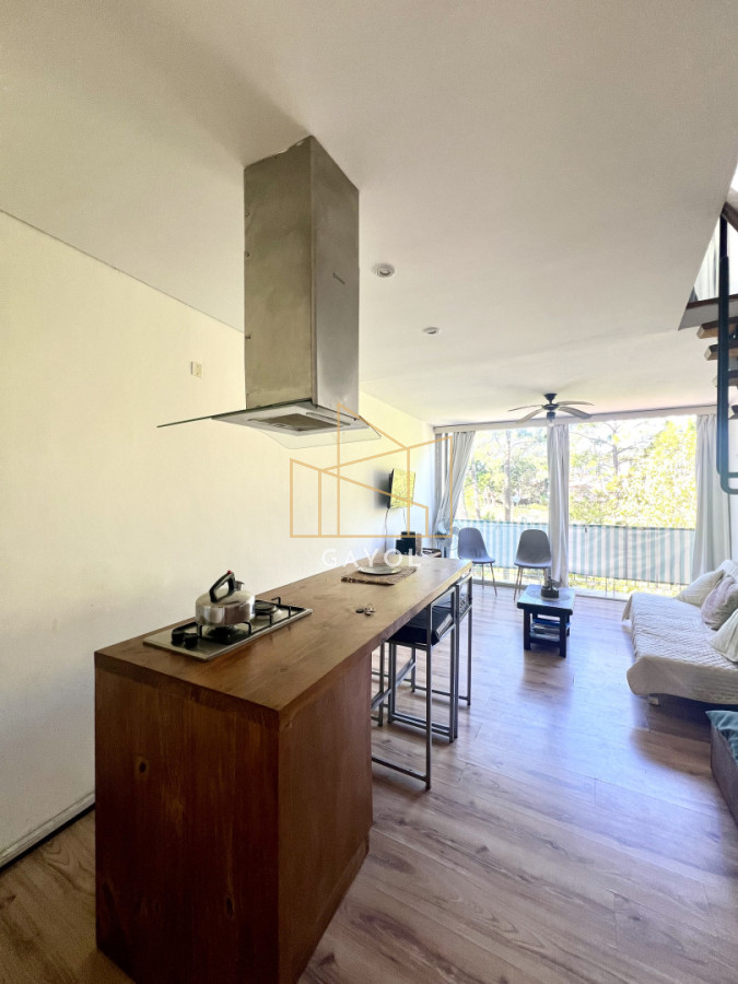 Apartamento ID.1233 - Apartamento en venta de 1 dormitorio y medio. Playa mansa. Punta del Este.