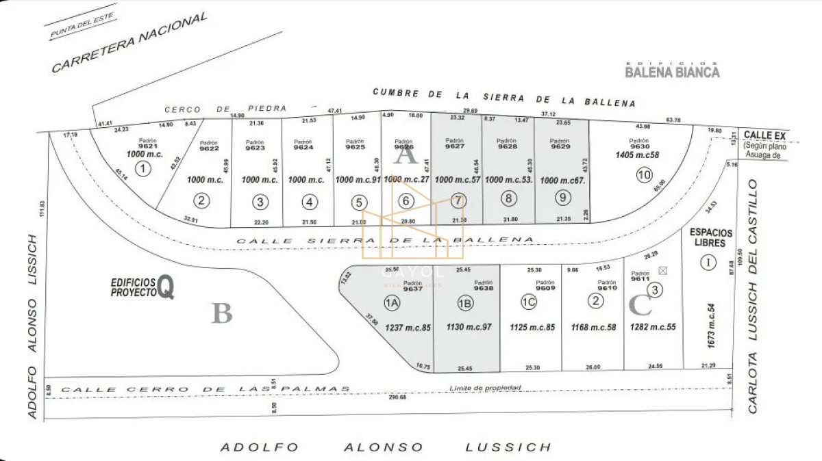 Terreno ID.831 - Terreno en venta de 1000 m2, Punta Ballena 