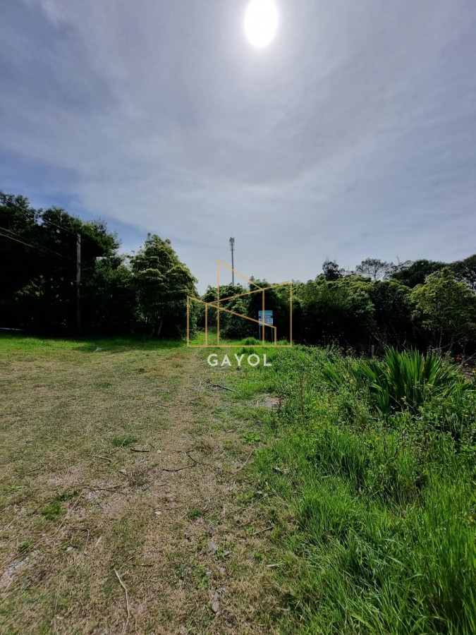 Terreno ID.831 - Terreno en venta de 1000 m2, Punta Ballena 