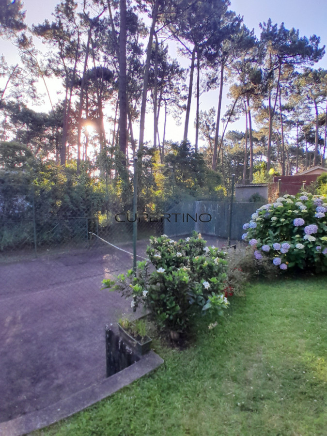 Venta y alquiler de verano. Amplia casa en Pinares. Con cancha de paddle. — foto 25