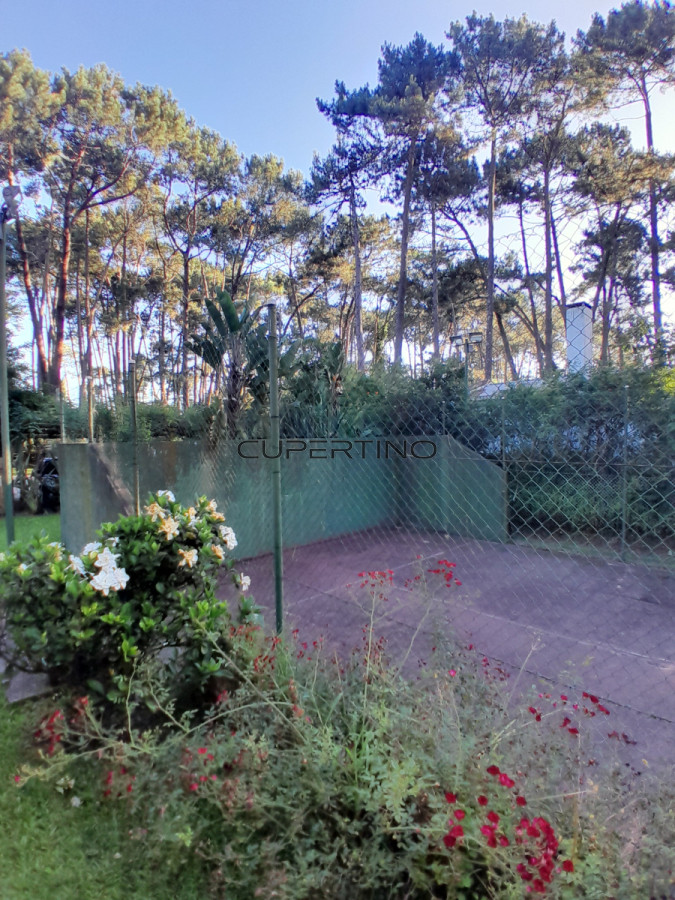 Venta y alquiler de verano. Amplia casa en Pinares. Con cancha de paddle. — foto 26