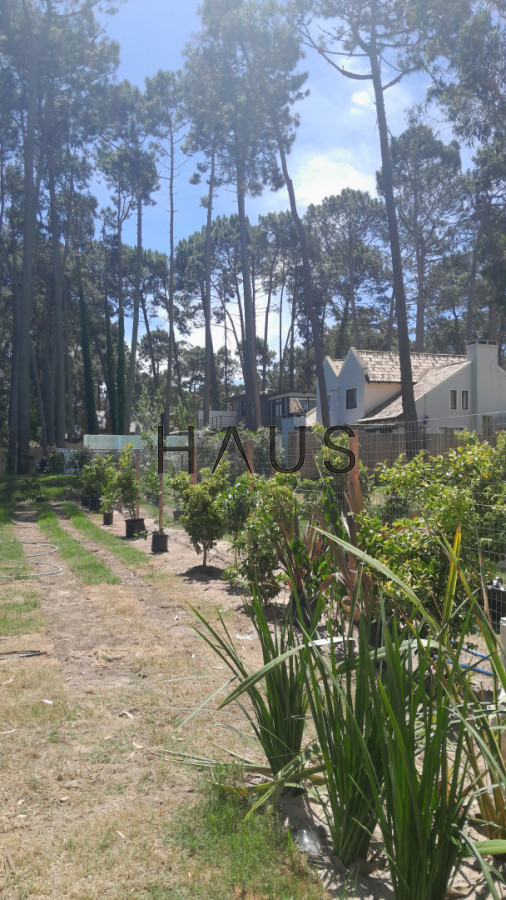 Casa ID.193 - Casa a estrenar, precio en pozo. Barrio Privado Solanas. Punta Ballena.