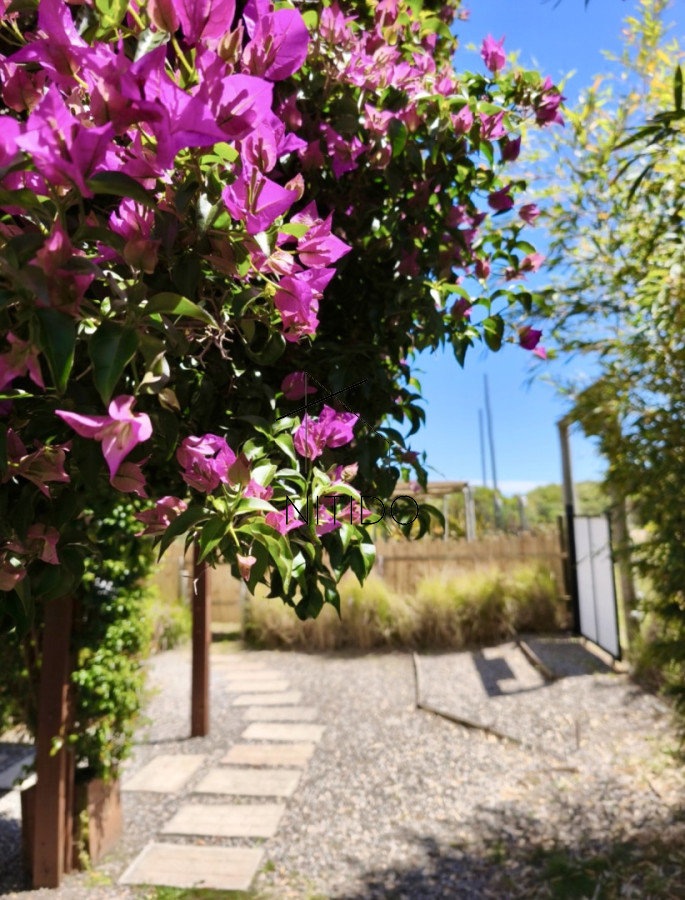 Apartamento ID.442 - Atención inversores, se vende complejo de 8 apartamentos en Punta Negra. Funcionando todo el año, ocupación casi del 100% en verano. 