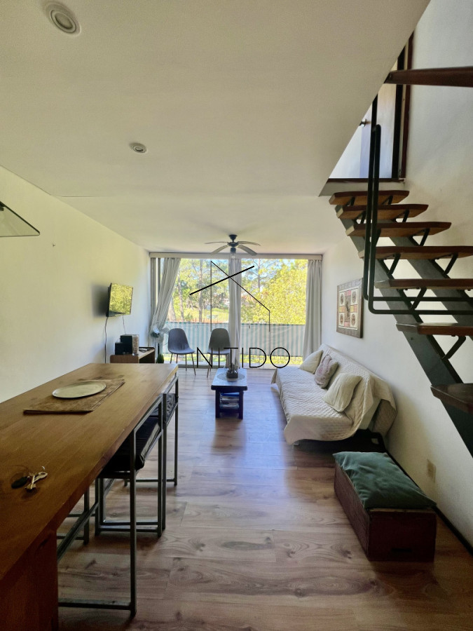 Apartamento ID.513 - Apartamento en venta de 1 dormitorio y medio. Playa mansa. Punta del Este.