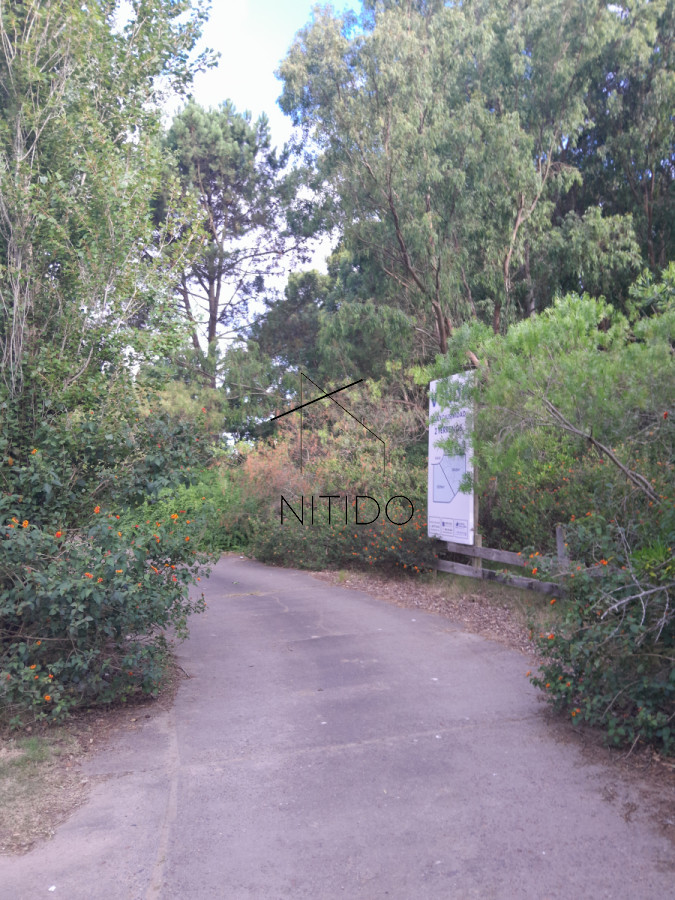 Terreno ID.79 - Exclusivo terreno en Punta Ballena, Portezuelo, casi 5mil metros cuadrados.