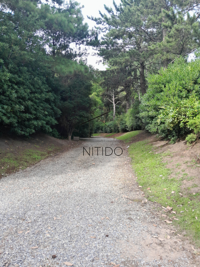 Terreno ID.79 - Exclusivo terreno en Punta Ballena, Portezuelo, casi 5mil metros cuadrados.