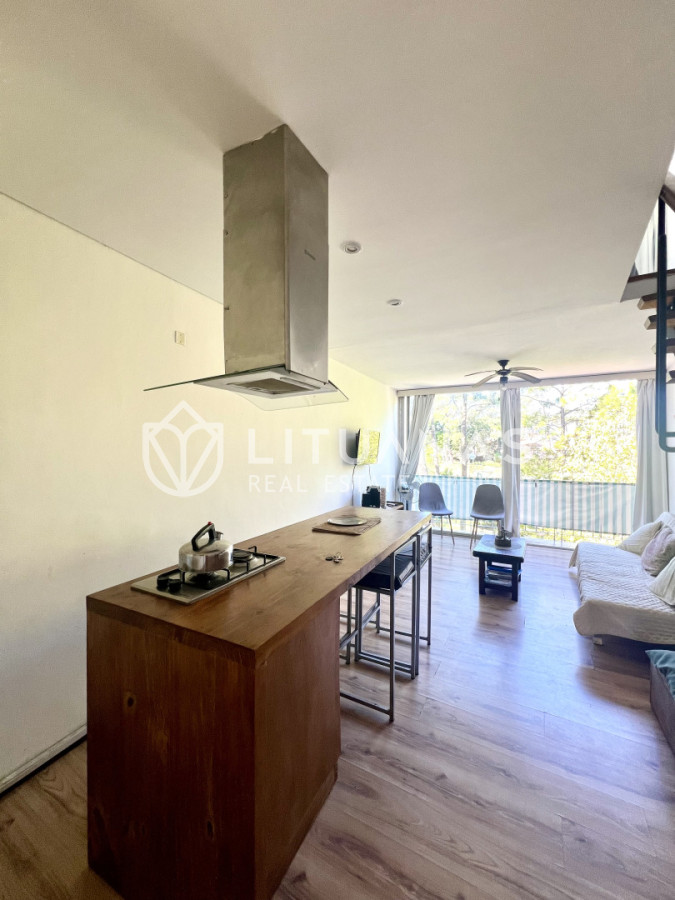 Apartamento ID.111 - Apartamento en venta de 1 dormitorio y medio. Playa mansa. Punta del Este.