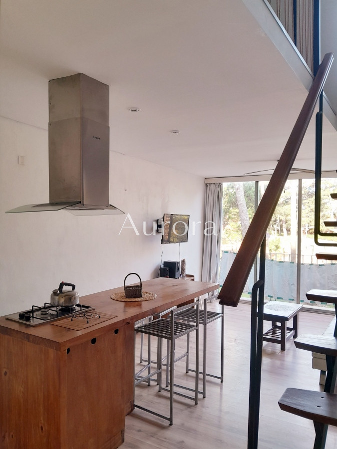 Apartamento ID.74 - Apartamento en venta de 1 dormitorio y medio. Playa mansa. Punta del Este.