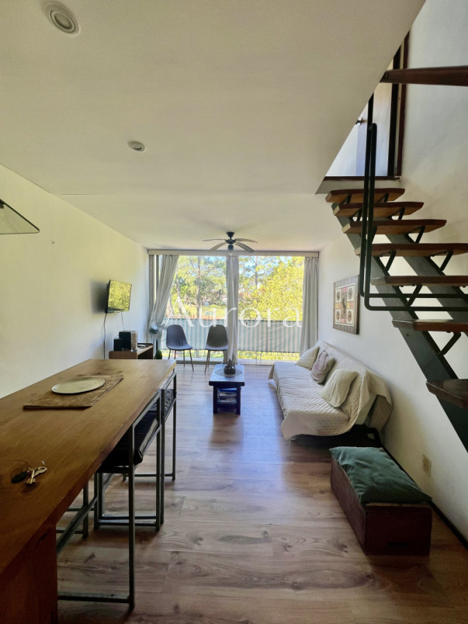 Apartamento ID.74 - Apartamento en venta de 1 dormitorio y medio. Playa mansa. Punta del Este.