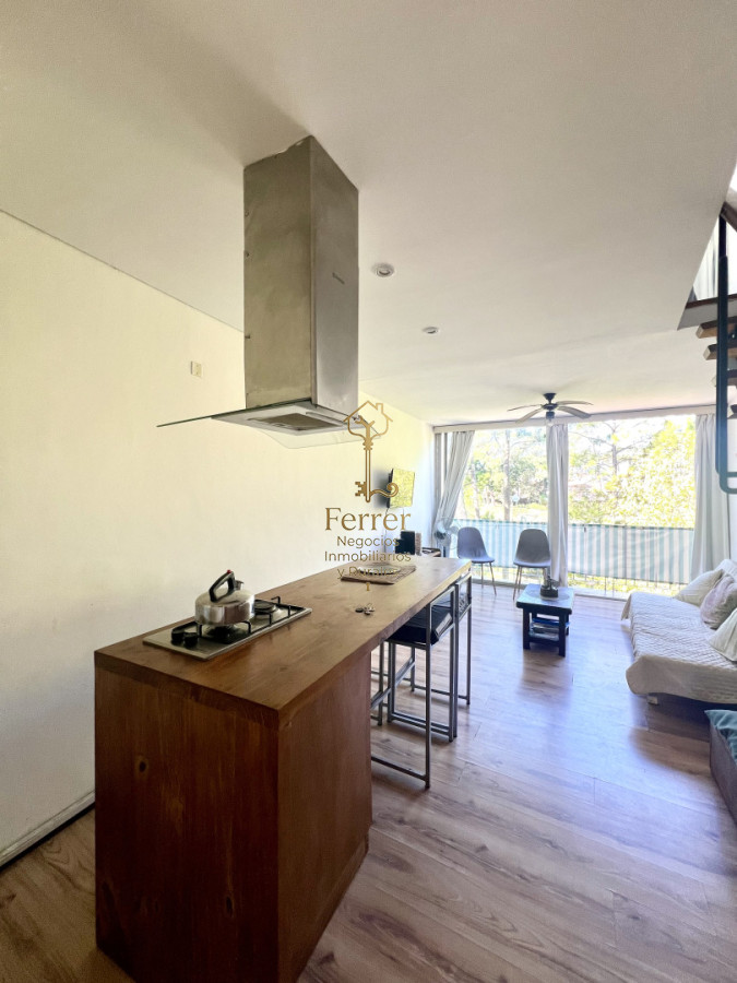 Apartamento ID.774 - Apartamento en venta de 1 dormitorio y medio. Playa mansa. Punta del Este.