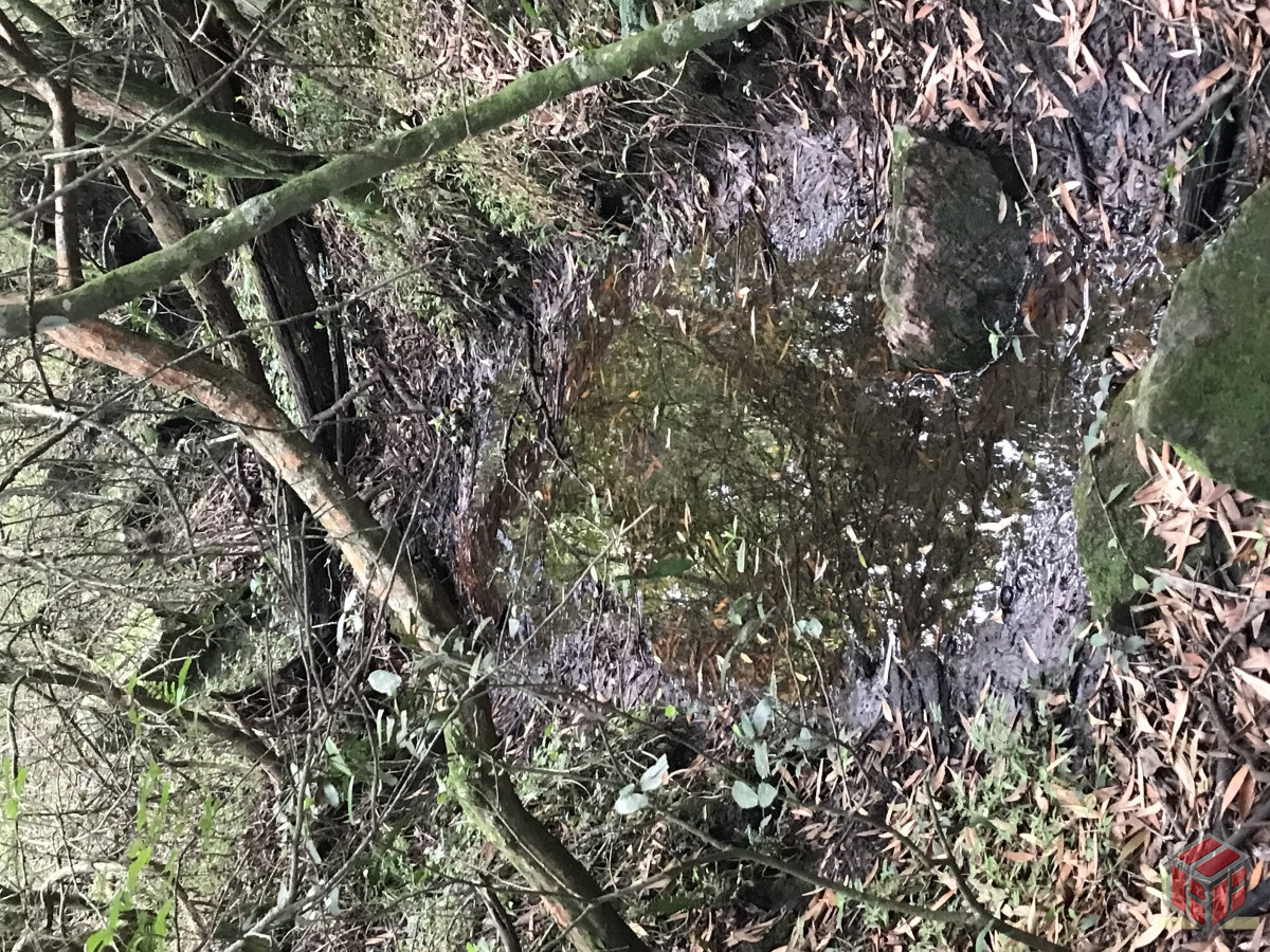 Chacra ID.8618 - Chacra de 7 hectáreas próxima a Lapataia
