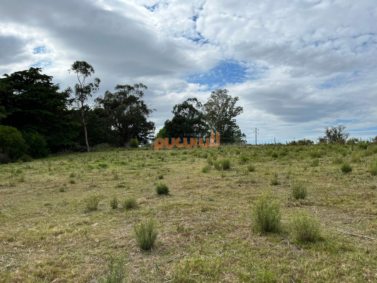 Chacra ID.2122 - Chacra de 7 hectáreas próxima a Lapataia