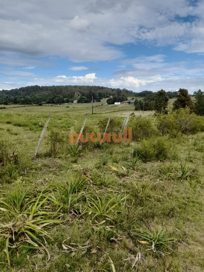 Chacra ID.2122 - Chacra de 7 hectáreas próxima a Lapataia