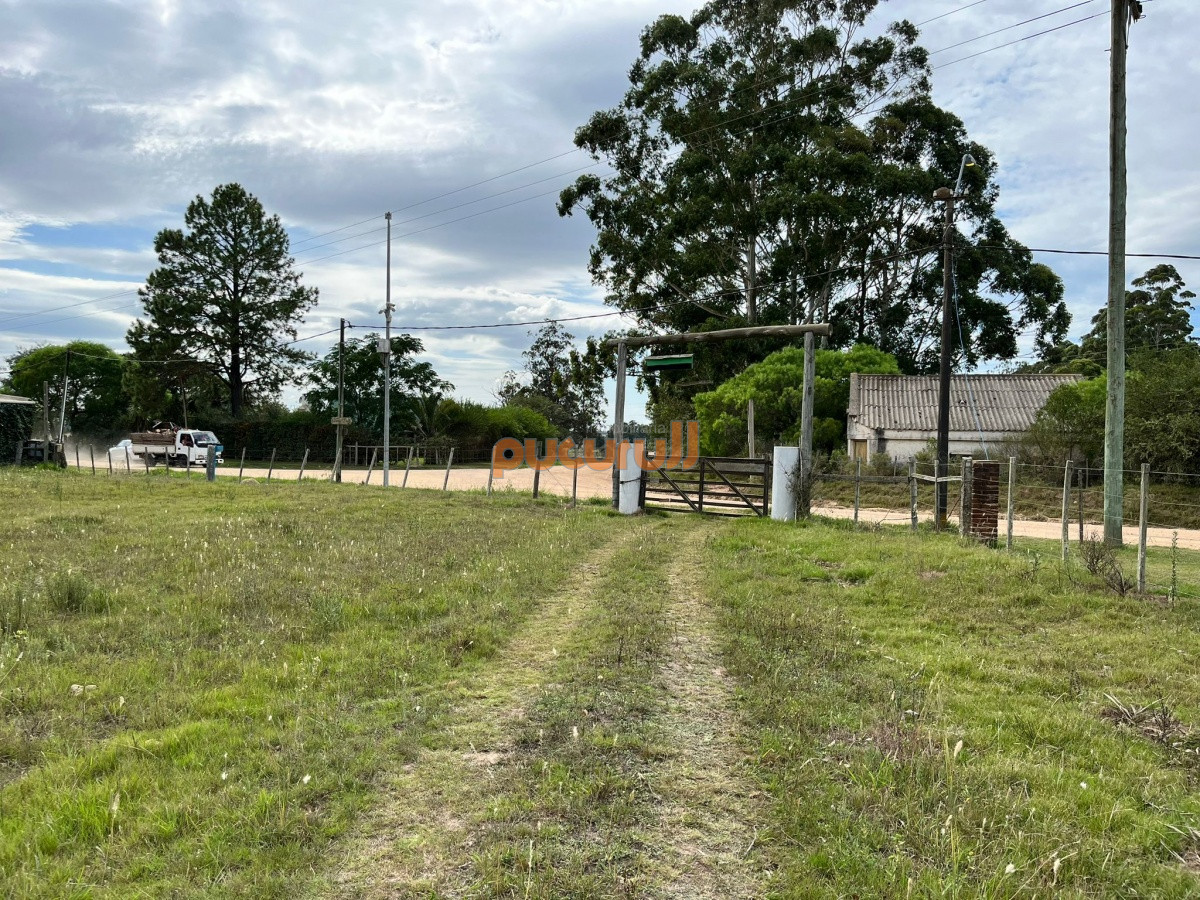 Chacra ID.2122 - Chacra de 7 hectáreas próxima a Lapataia